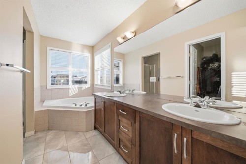 93 Copperleaf Way Se, Calgary, AB - Indoor Photo Showing Bathroom