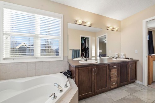 93 Copperleaf Way Se, Calgary, AB - Indoor Photo Showing Bathroom