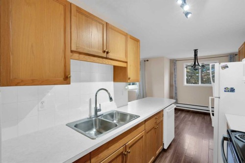 346-165 Manora Place Ne, Calgary, AB - Indoor Photo Showing Kitchen With Double Sink