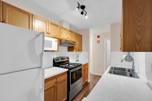 346-165 Manora Place Ne, Calgary, AB - Indoor Photo Showing Kitchen With Double Sink
