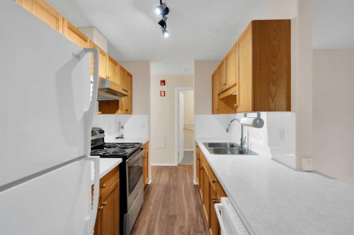 346-165 Manora Place Ne, Calgary, AB - Indoor Photo Showing Kitchen With Double Sink