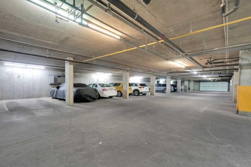 346-165 Manora Place Ne, Calgary, AB - Indoor Photo Showing Garage
