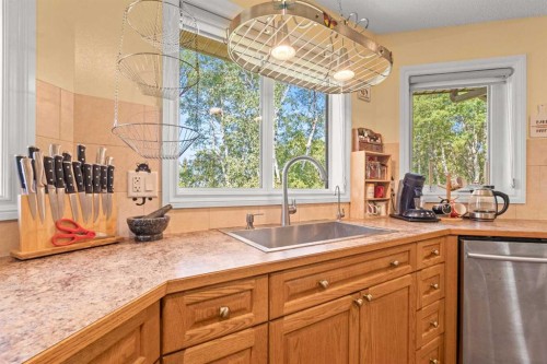 115 Dunham Lane, Diamond Valley, AB - Indoor Photo Showing Kitchen