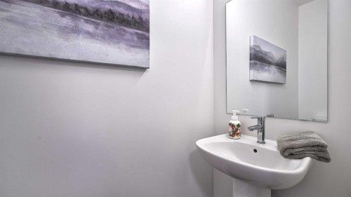57 Willow Green Sw, Airdrie, AB - Indoor Photo Showing Bathroom