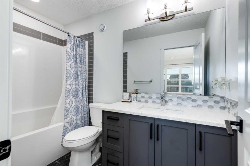 117 Highview Gate Se, Airdrie, AB - Indoor Photo Showing Bathroom