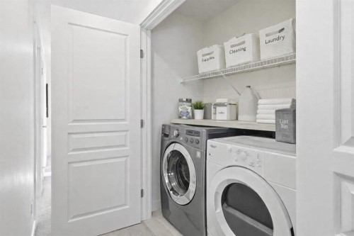79 Cranford Green Se, Calgary, AB - Indoor Photo Showing Laundry Room