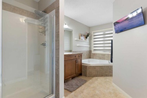 52 Glensummit Close, Cochrane, AB - Indoor Photo Showing Bathroom