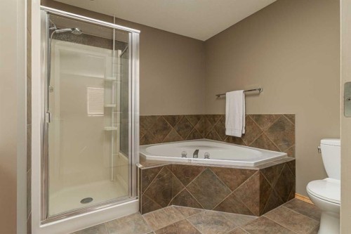 51 Brightondale Crescent Se, Calgary, AB - Indoor Photo Showing Bathroom
