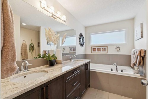223 Cranarch Terrace Se, Calgary, AB - Indoor Photo Showing Bathroom