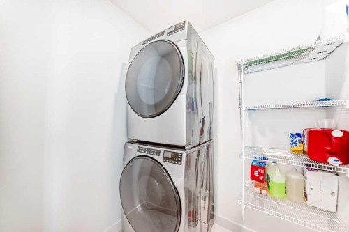 53 Spring Creek Common Sw, Calgary, AB - Indoor Photo Showing Laundry Room