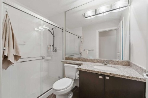 702-77 Spruce Place Sw, Calgary, AB - Indoor Photo Showing Bathroom