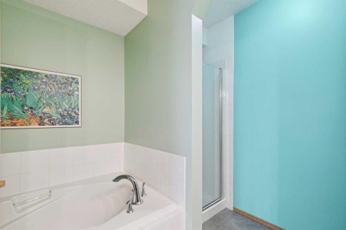 304 Mt. Brewster Circle Se, Calgary, AB - Indoor Photo Showing Bathroom