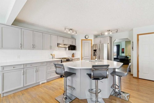 304 Mt. Brewster Circle Se, Calgary, AB - Indoor Photo Showing Kitchen With Upgraded Kitchen