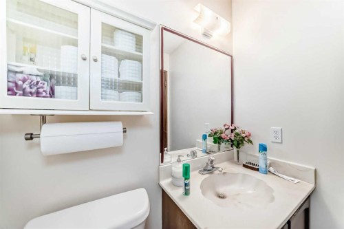 15 Whitewood Bay Ne, Calgary, AB - Indoor Photo Showing Bathroom
