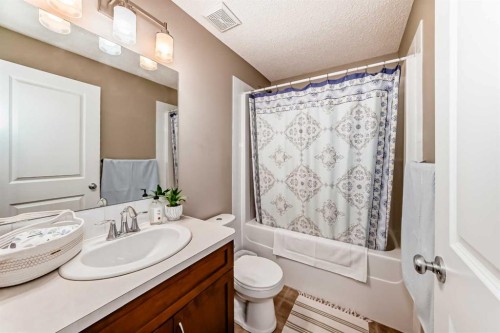266 Fireside Place, Cochrane, AB - Indoor Photo Showing Bathroom