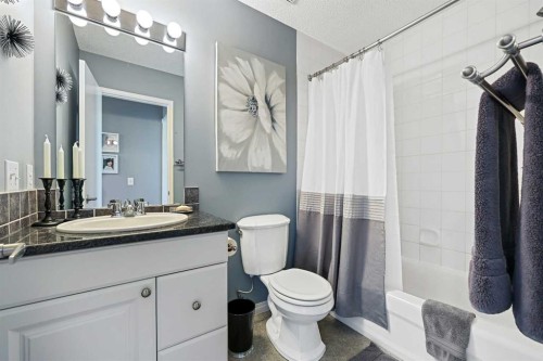 64 Abbeydale Villas Ne, Calgary, AB - Indoor Photo Showing Bathroom
