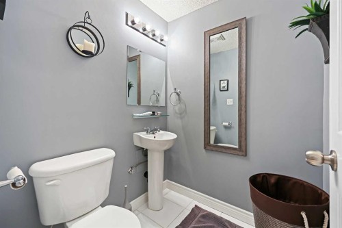 64 Abbeydale Villas Ne, Calgary, AB - Indoor Photo Showing Bathroom