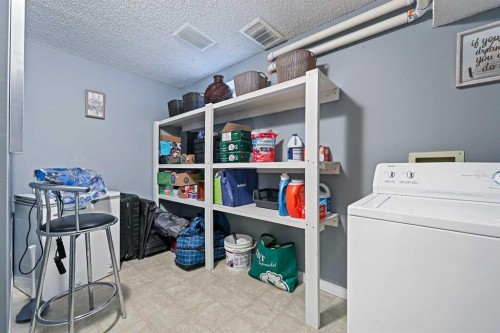 64 Abbeydale Villas Ne, Calgary, AB - Indoor Photo Showing Laundry Room