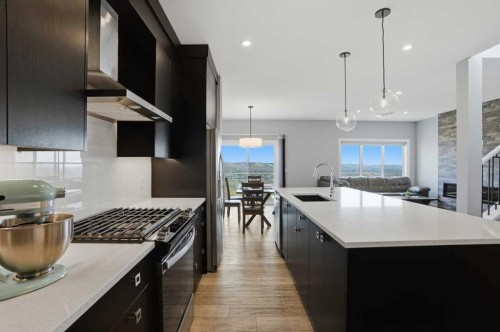 246 Walcrest View Se, Calgary, AB - Indoor Photo Showing Kitchen With Upgraded Kitchen