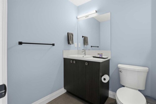 246 Walcrest View Se, Calgary, AB - Indoor Photo Showing Bathroom