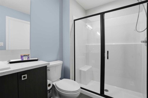 246 Walcrest View Se, Calgary, AB - Indoor Photo Showing Bathroom
