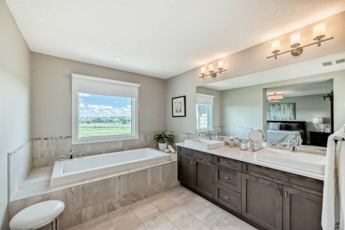 239 Stonemere Green, Chestermere, AB - Indoor Photo Showing Bathroom