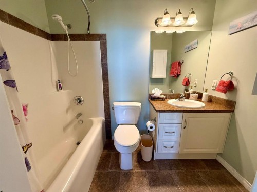 323-43 Sunrise Loop Se, High River, AB - Indoor Photo Showing Bathroom
