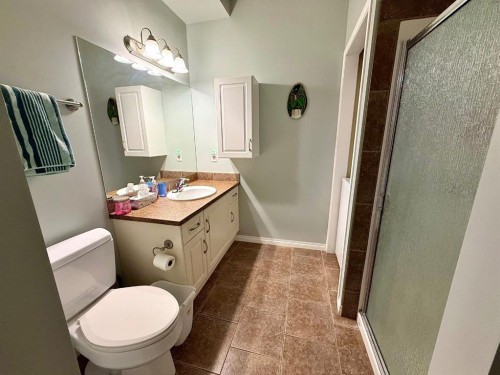 323-43 Sunrise Loop Se, High River, AB - Indoor Photo Showing Bathroom