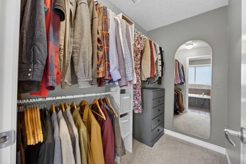 232 Mahogany Terrace Se, Calgary, AB - Indoor With Storage