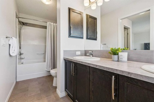 58 Buckskin Way, Cochrane, AB - Indoor Photo Showing Bathroom