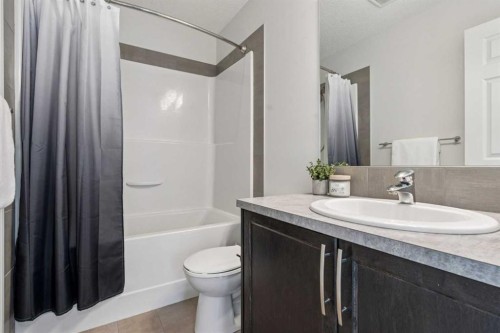 58 Buckskin Way, Cochrane, AB - Indoor Photo Showing Bathroom
