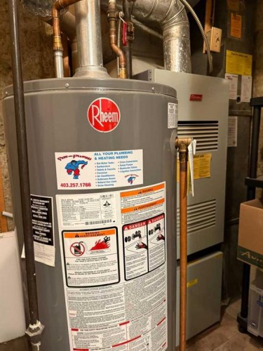 37 Arbour Crescent Se, Calgary, AB - Indoor Photo Showing Basement