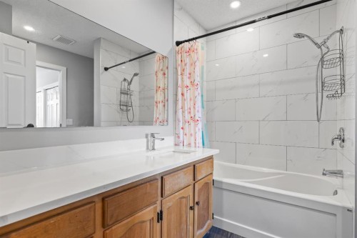 392 Templeside Circle Ne, Calgary, AB - Indoor Photo Showing Bathroom