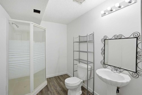 113 Mt Lorette Place Se, Calgary, AB - Indoor Photo Showing Bathroom