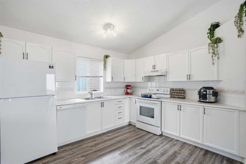 113 Mt Lorette Place Se, Calgary, AB - Indoor Photo Showing Kitchen With Double Sink