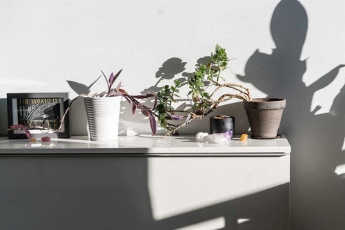 504-505 19 Avenue Sw, Calgary, AB - 