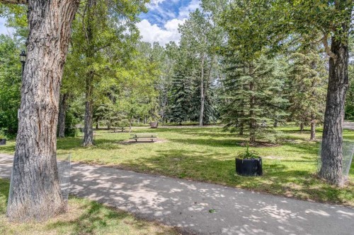 504-505 19 Avenue Sw, Calgary, AB - Outdoor With View