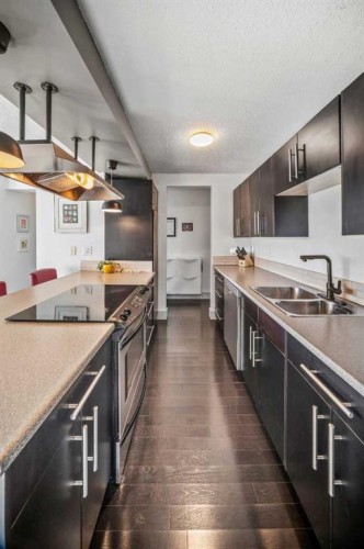 504-505 19 Avenue Sw, Calgary, AB - Indoor Photo Showing Kitchen With Double Sink