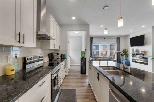 89 Homestead Crescent Ne, Calgary, AB - Indoor Photo Showing Kitchen With Double Sink With Upgraded Kitchen