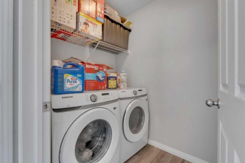 89 Homestead Crescent Ne, Calgary, AB - Indoor Photo Showing Laundry Room