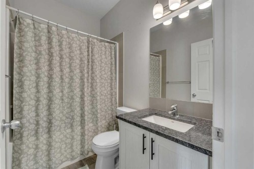 89 Homestead Crescent Ne, Calgary, AB - Indoor Photo Showing Bathroom