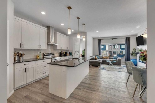89 Homestead Crescent Ne, Calgary, AB - Indoor Photo Showing Kitchen With Upgraded Kitchen