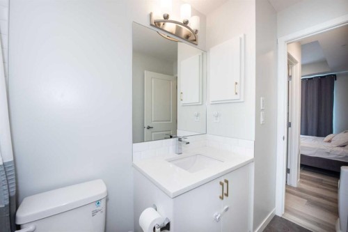 2303-220 Seton Grove Se, Calgary, AB - Indoor Photo Showing Bathroom