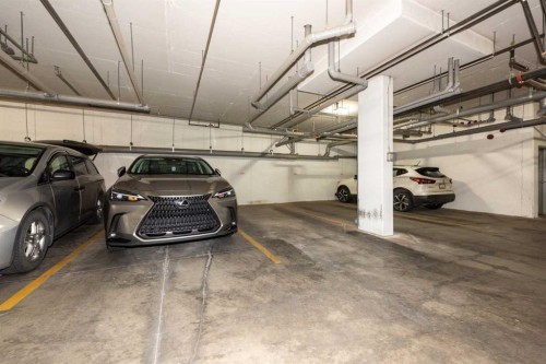 2303-220 Seton Grove Se, Calgary, AB - Indoor Photo Showing Garage