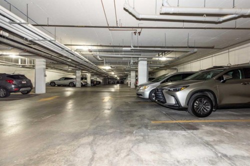 2303-220 Seton Grove Se, Calgary, AB - Indoor Photo Showing Garage