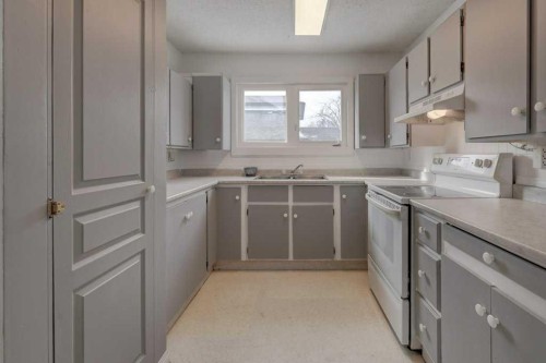 27 Castleglen Road Ne, Calgary, AB - Indoor Photo Showing Kitchen With Double Sink