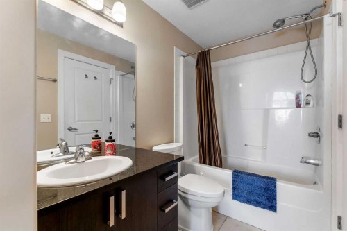 312-117 Copperpond Common Se, Calgary, AB - Indoor Photo Showing Bathroom