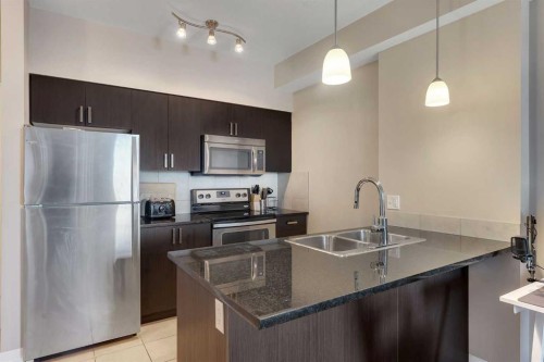 312-117 Copperpond Common Se, Calgary, AB - Indoor Photo Showing Kitchen With Stainless Steel Kitchen With Double Sink With Upgraded Kitchen