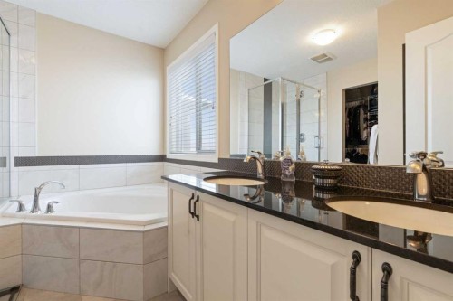 352 Skyview Shores Manor Ne, Calgary, AB - Indoor Photo Showing Bathroom