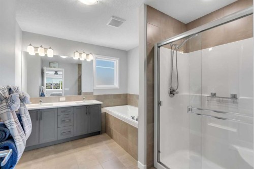 29 Masters Terrace Se, Calgary, AB - Indoor Photo Showing Bathroom